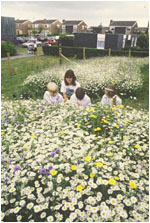 English Nature grant-aided wildflower garden, Peter Wakely/English Nature